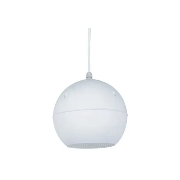 Prosound CSR 510 Pendant Speaker